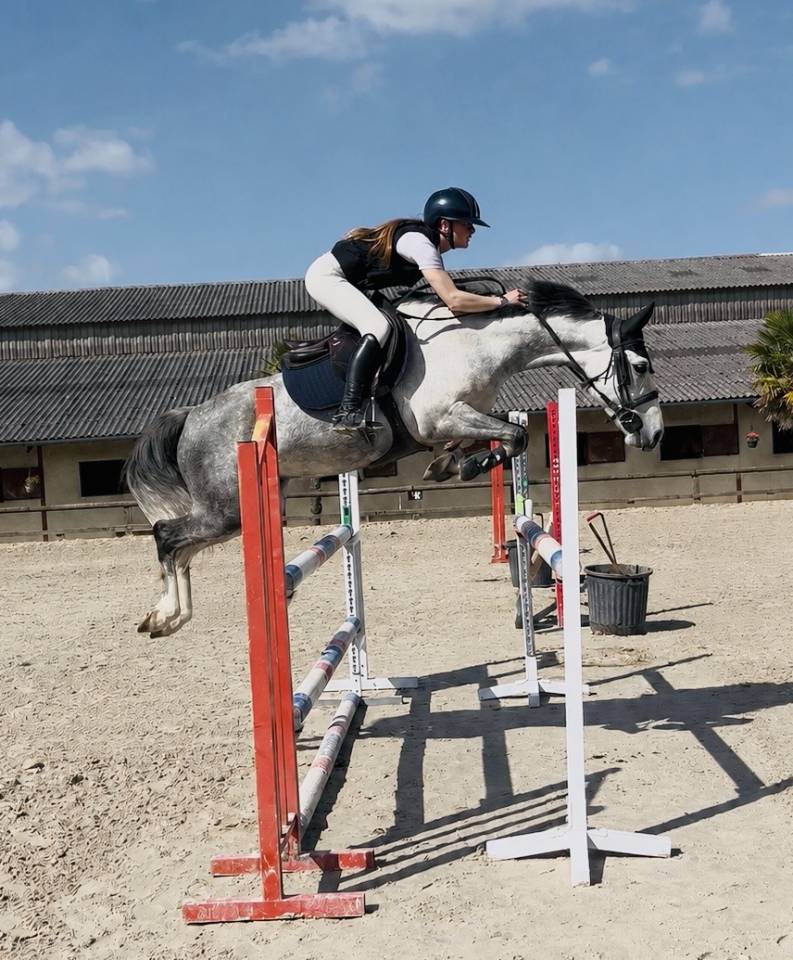 Castrone PFS Pony Francese da Sella In vendita 2020 Grigio