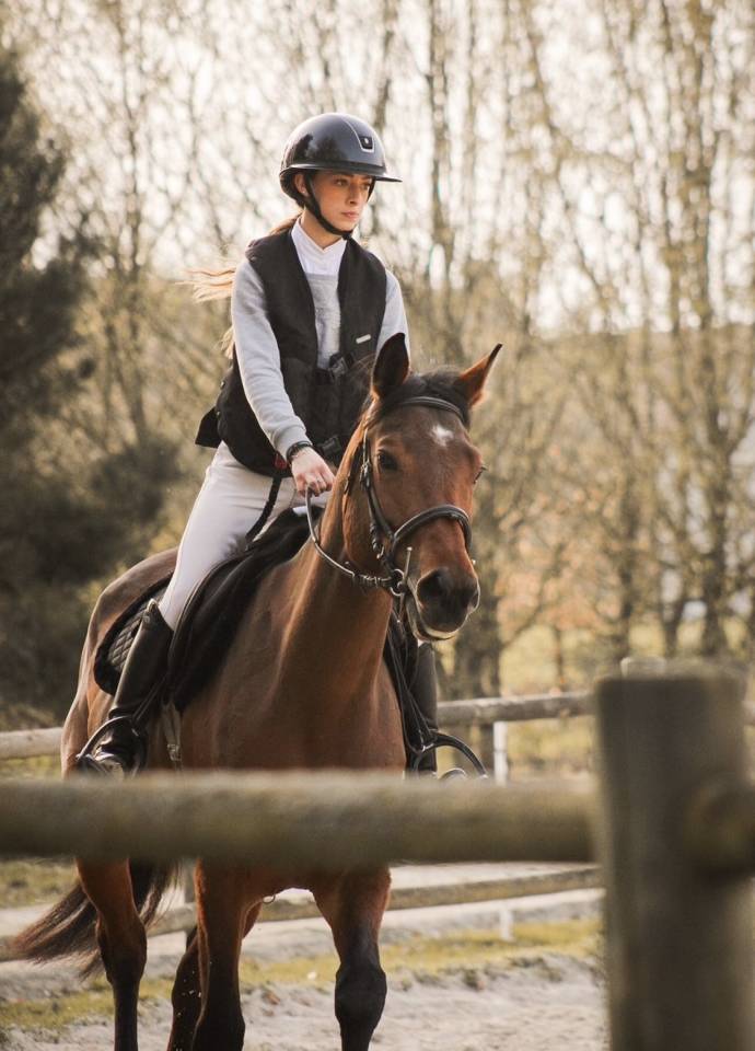 Cavalla Sella Francese In vendita 2021 Baio ,  CONTENDRO