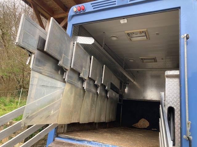 Camion per Cavalli Renault 44HH1 2011 Occasione