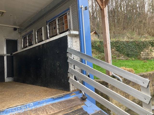 Camion per Cavalli Renault 44HH1 2011 Occasione