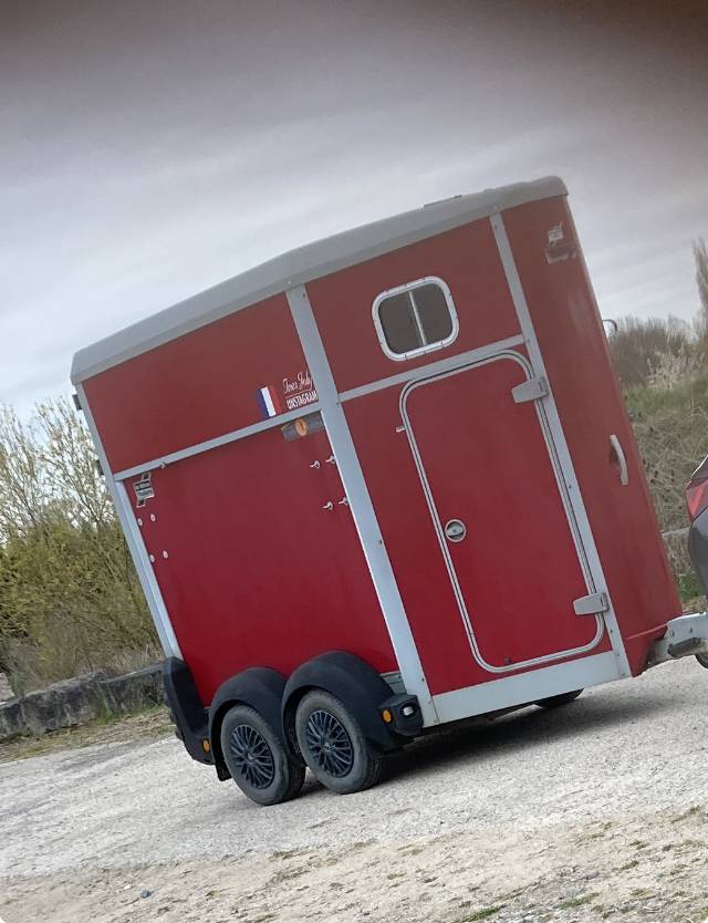 Trailer Ifor Williams  1,5 Cavalli 2021 Occasione