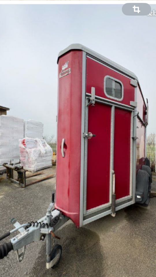 Trailer Ifor Williams  1,5 Cavalli 2021 Occasione