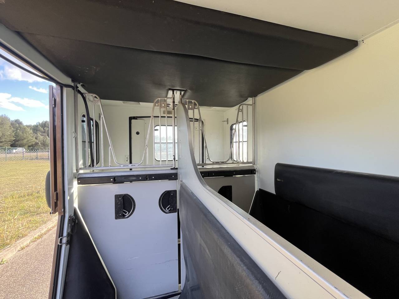 Van per Cavalli Theault  2010 Occasione