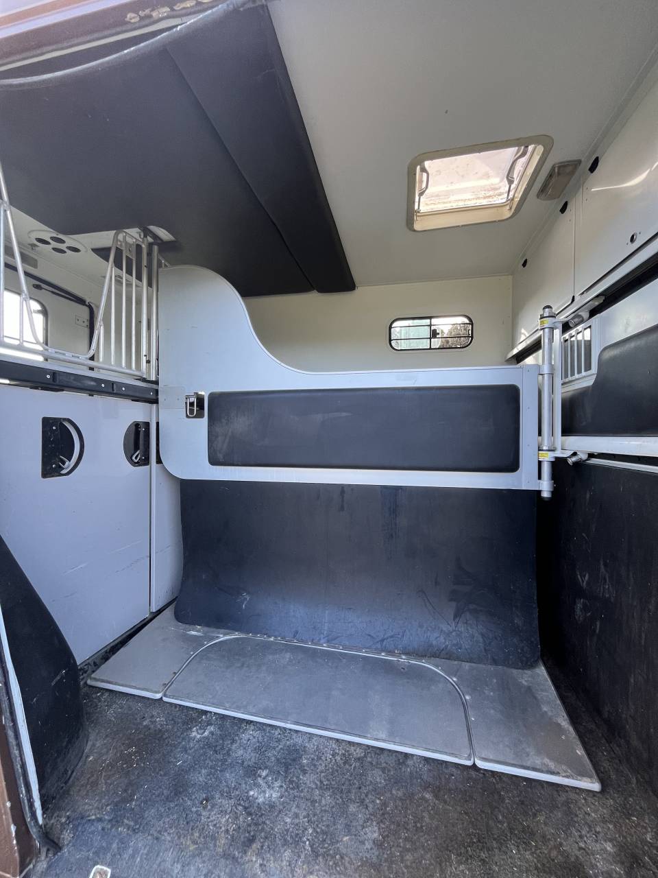 Van per Cavalli Theault  2010 Occasione