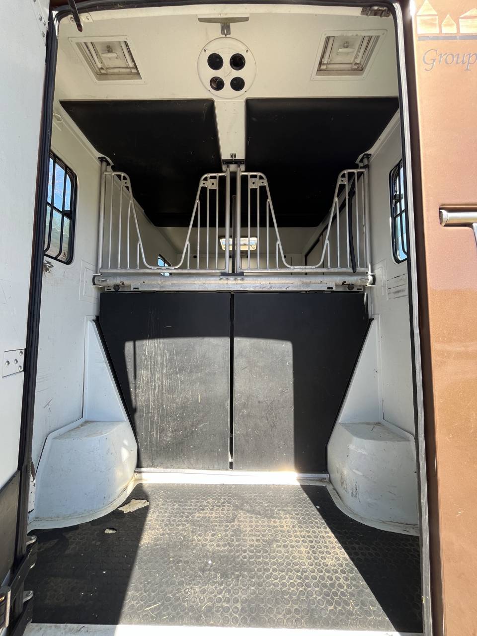 Van per Cavalli Theault  2010 Occasione