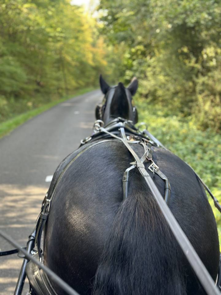 Bella dimora equestre In vendita Eure