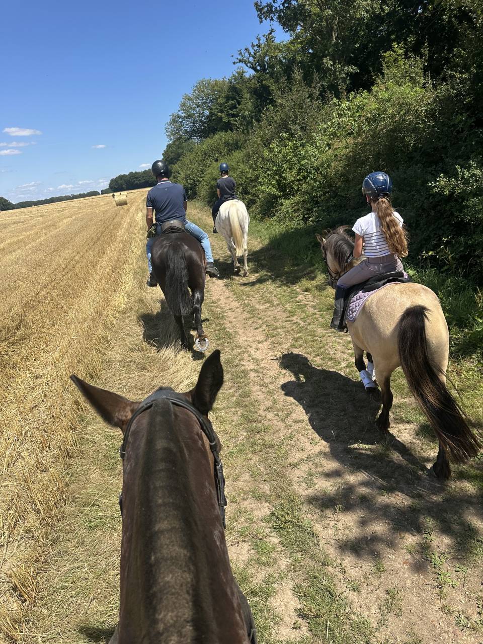 Bella dimora equestre In vendita Eure