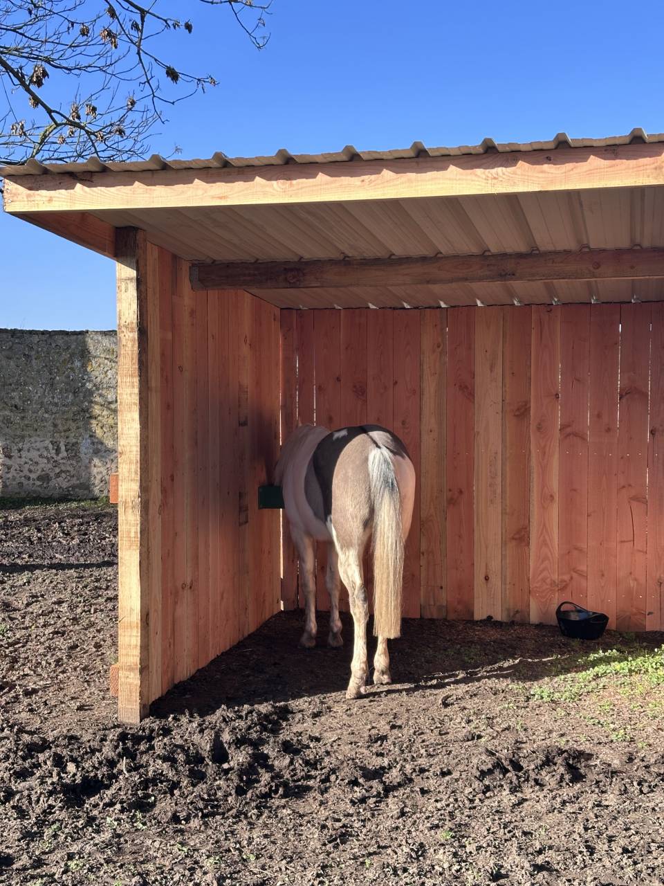 Bella dimora equestre In vendita Eure