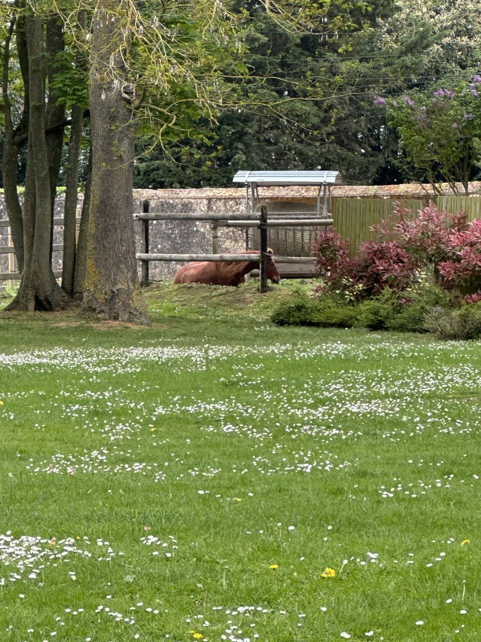 Bella dimora equestre In vendita Eure