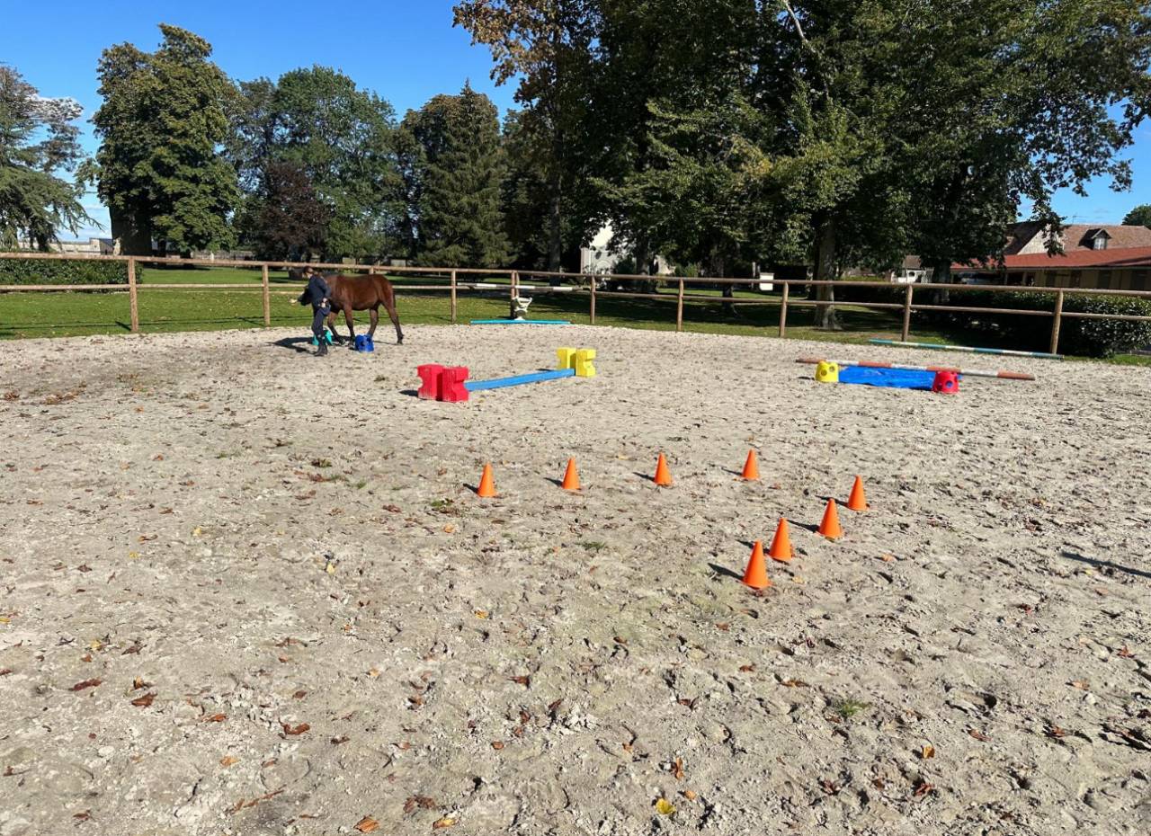 Bella dimora equestre In vendita Eure