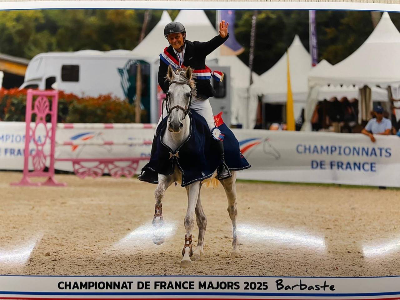 Cavalla Sella Francese In vendita 2017 Grigio ,  Valmy de la Lande