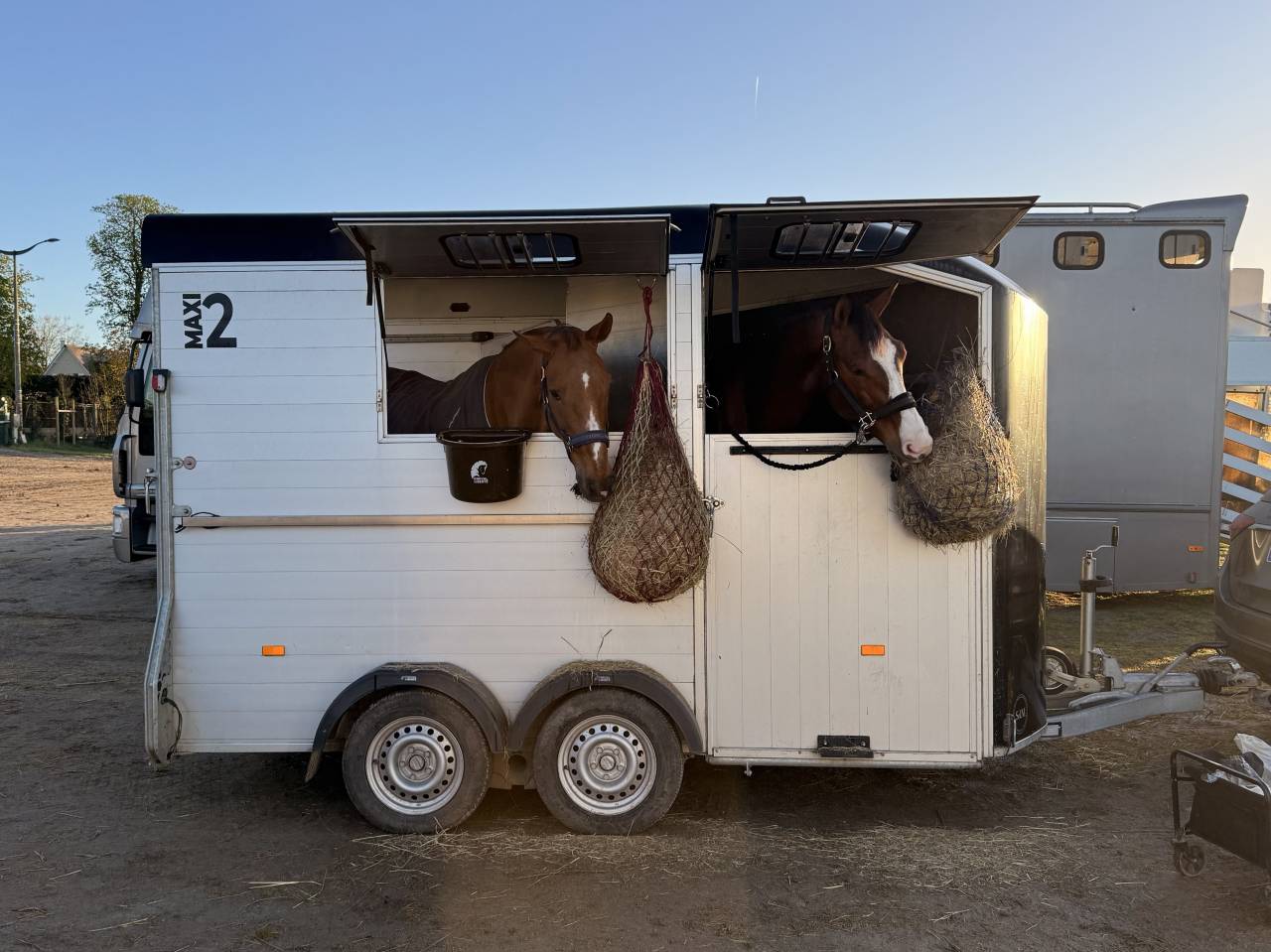 Trailer Cheval Libert&eacute; Maxi 2 2 Cavalli 2021 Occasione