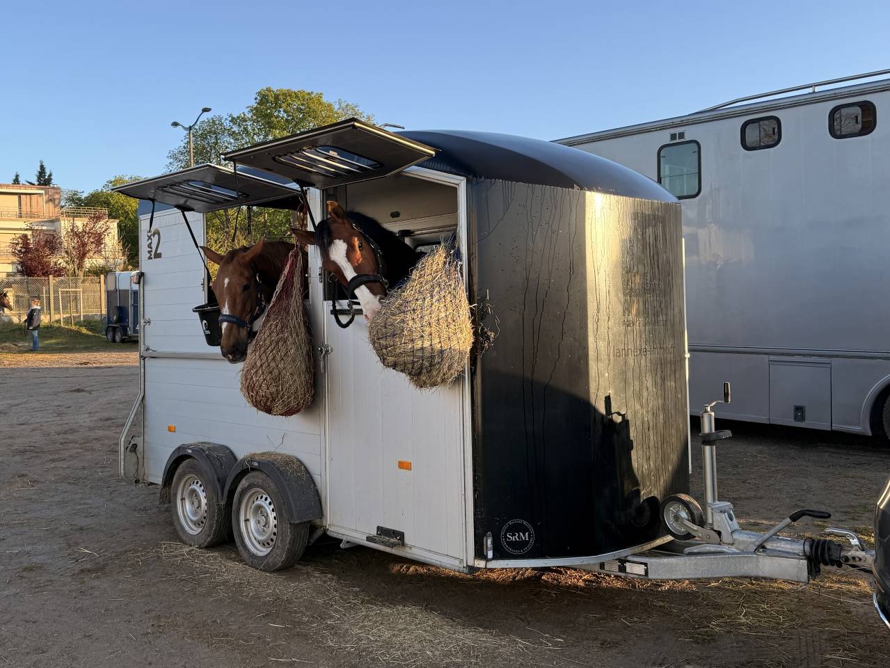 Trailer Cheval Libert&eacute; Maxi 2 2 Cavalli 2021 Occasione