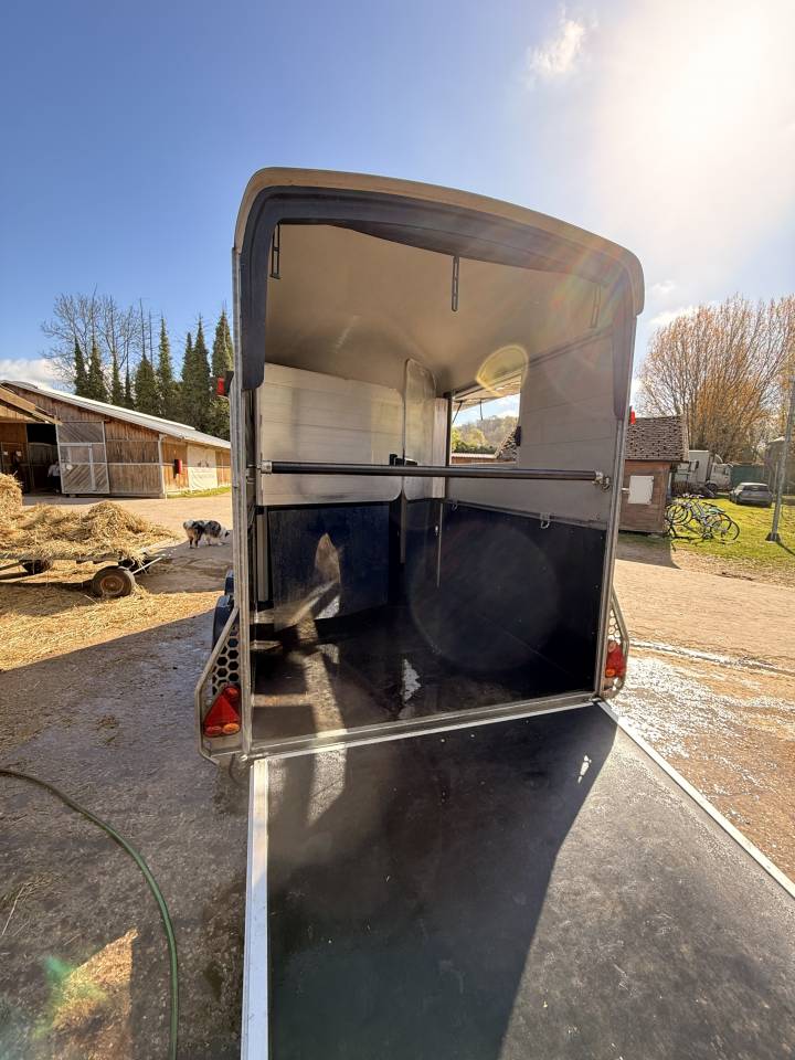 Trailer Cheval Libert&eacute; Maxi 2 2 Cavalli 2021 Occasione