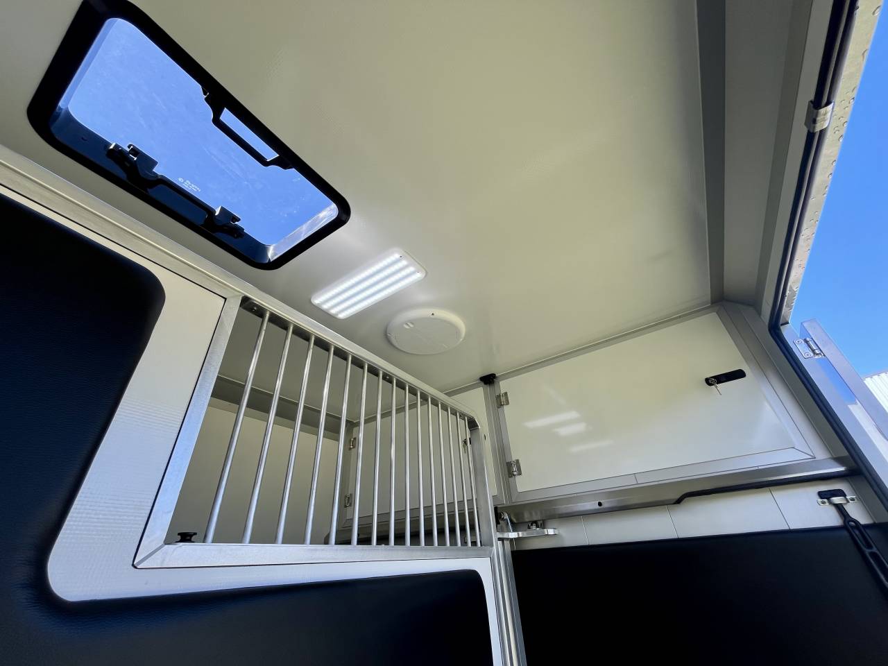 Van per Cavalli STX  2026 Nuovo