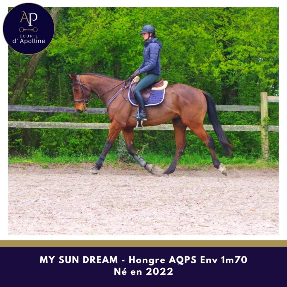 Castrone AQPS In vendita 2022 Baio