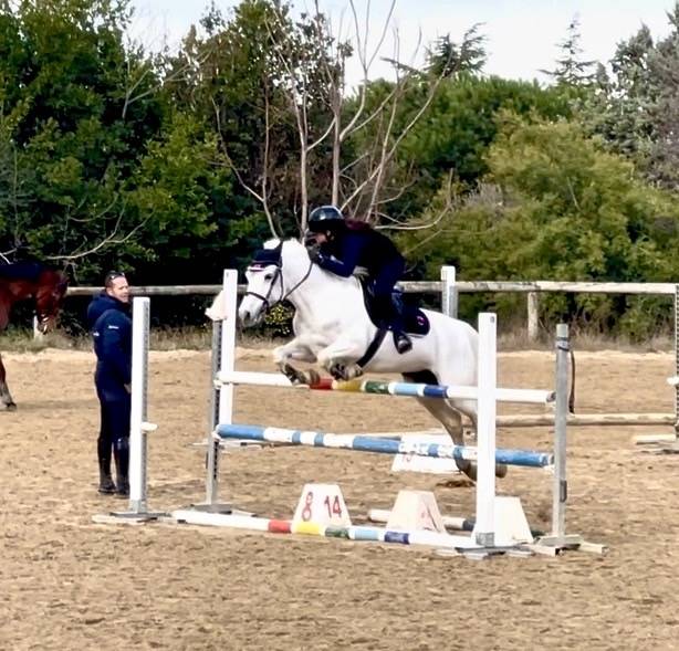 Glasson Cascade Pony 14 anni h. 149 cm FEI