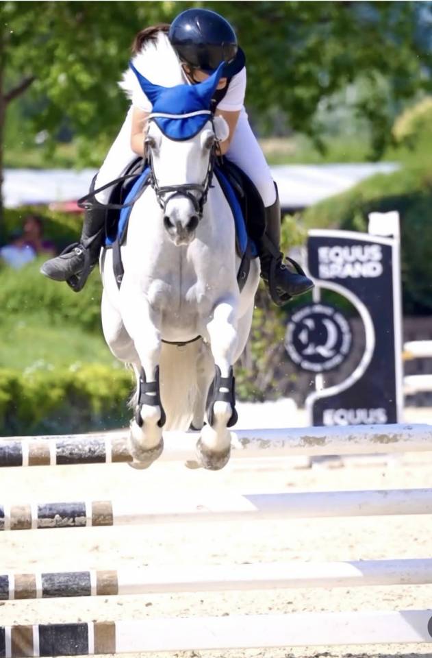 Glasson Cascade Pony 14 anni h. 149 cm FEI