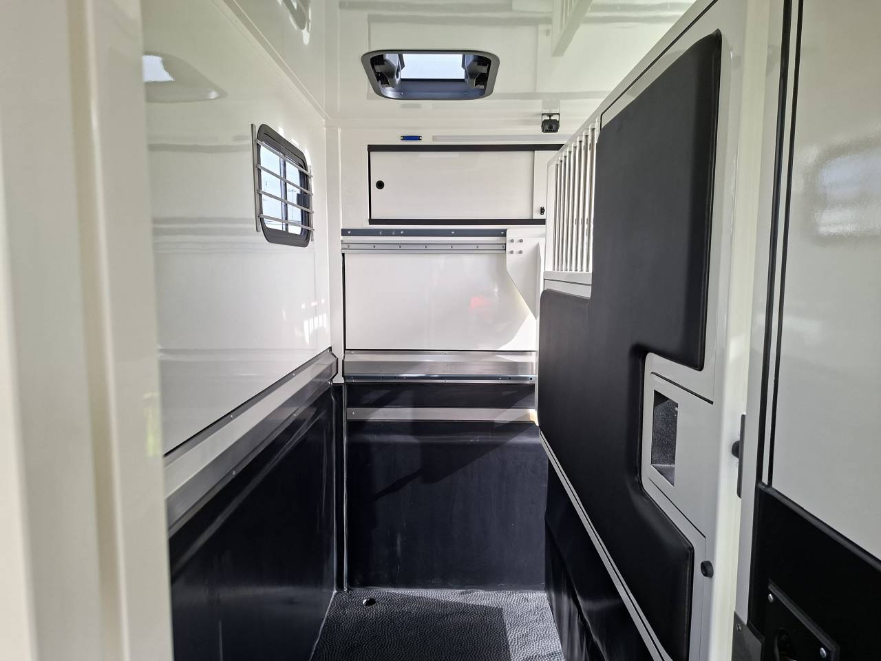 Van per Cavalli Ameline HARAS  2026 Nuovo