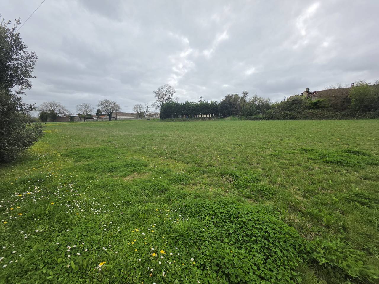 Propriet&agrave; equestre In vendita Charente-Maritime