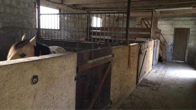 Propriet&agrave; equestre In vendita C&ocirc;te d'Armor