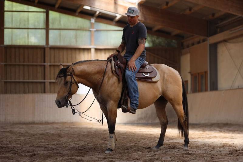 Spooks Whiz Crome 86 - Quarter Horse 2022 ,  BLACKBURNS SMOKN ICE