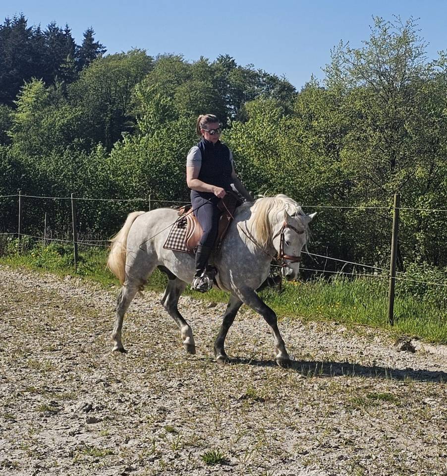 Jackpot de L'Estelle - Camargue 2019 ,  TRITON DU CLAUD