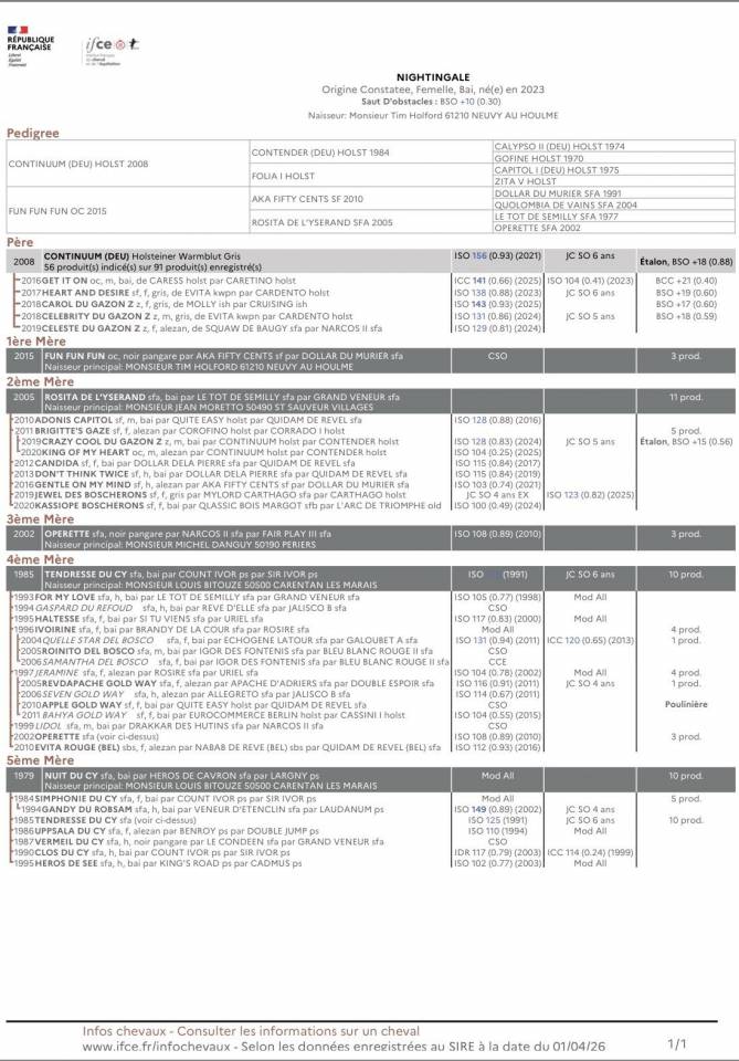 Cavalla Origine non conosciuta  In vendita 2023 Grigio ,  Continuum
