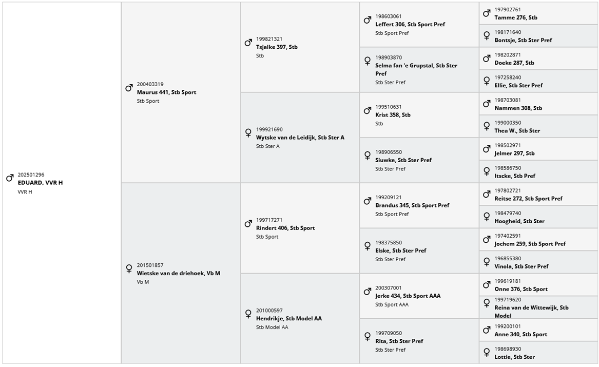 Intero Frisone In vendita 2025 Nero ,  MAURUS 441