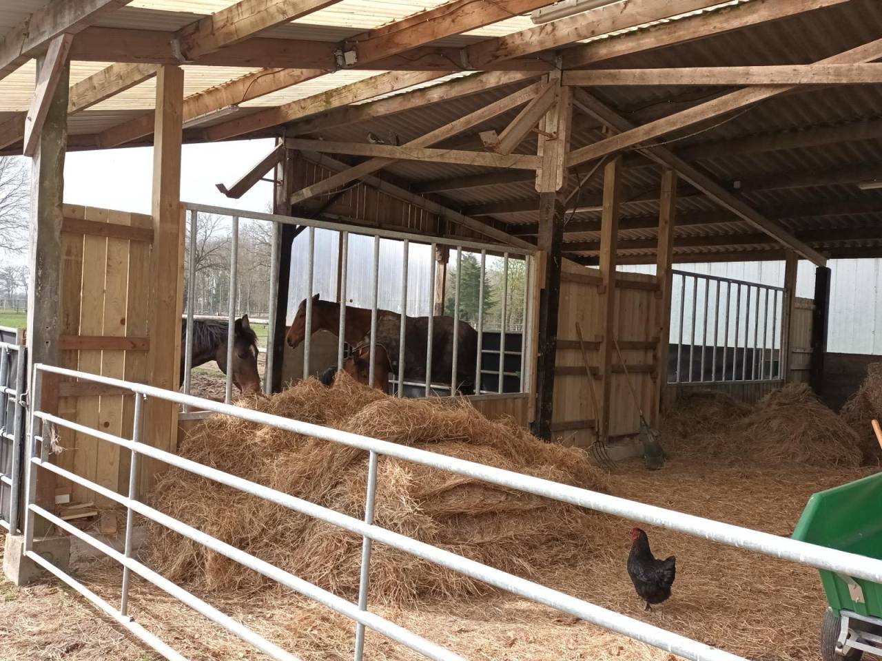 Propriet&agrave; equestre In vendita Loire-Atlantique