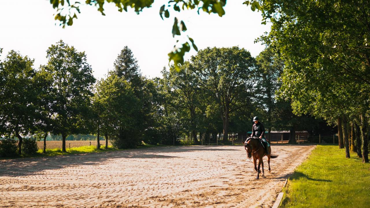 Propriet&agrave; equestre In vendita Loire-Atlantique