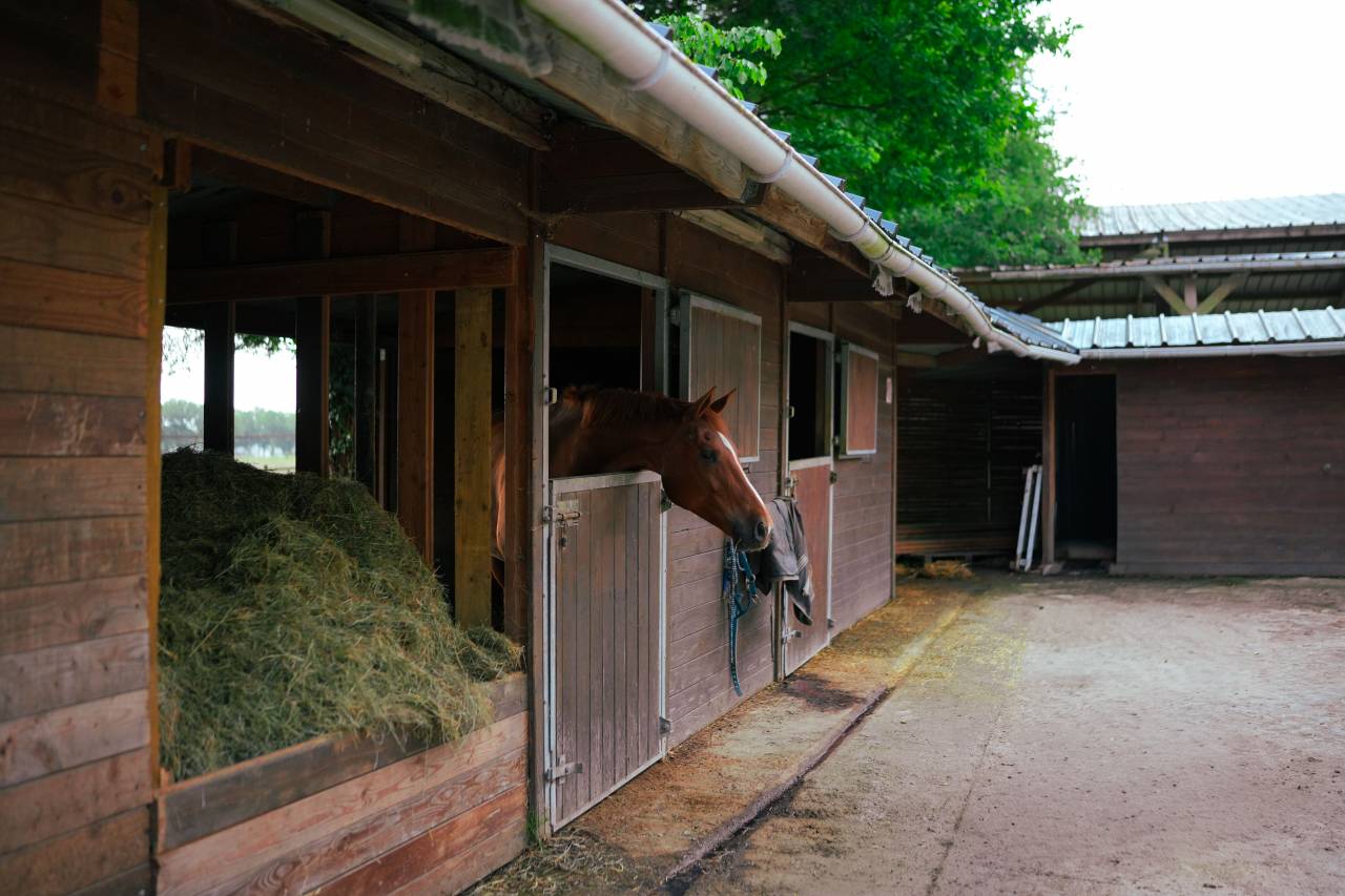 Propriet&agrave; equestre In vendita Loire-Atlantique