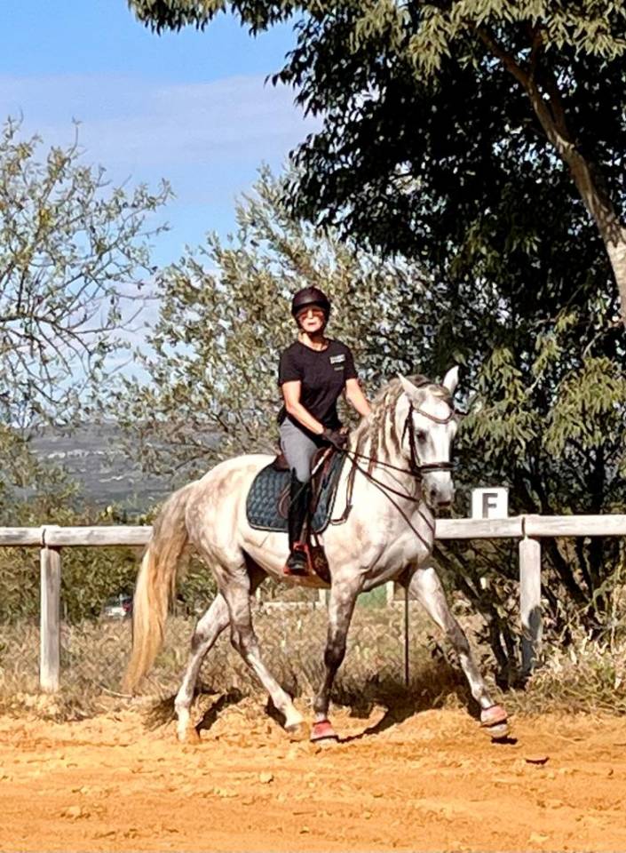 Castrone Lusitano In vendita 2015 Bianco ,  CANTOR JME PT