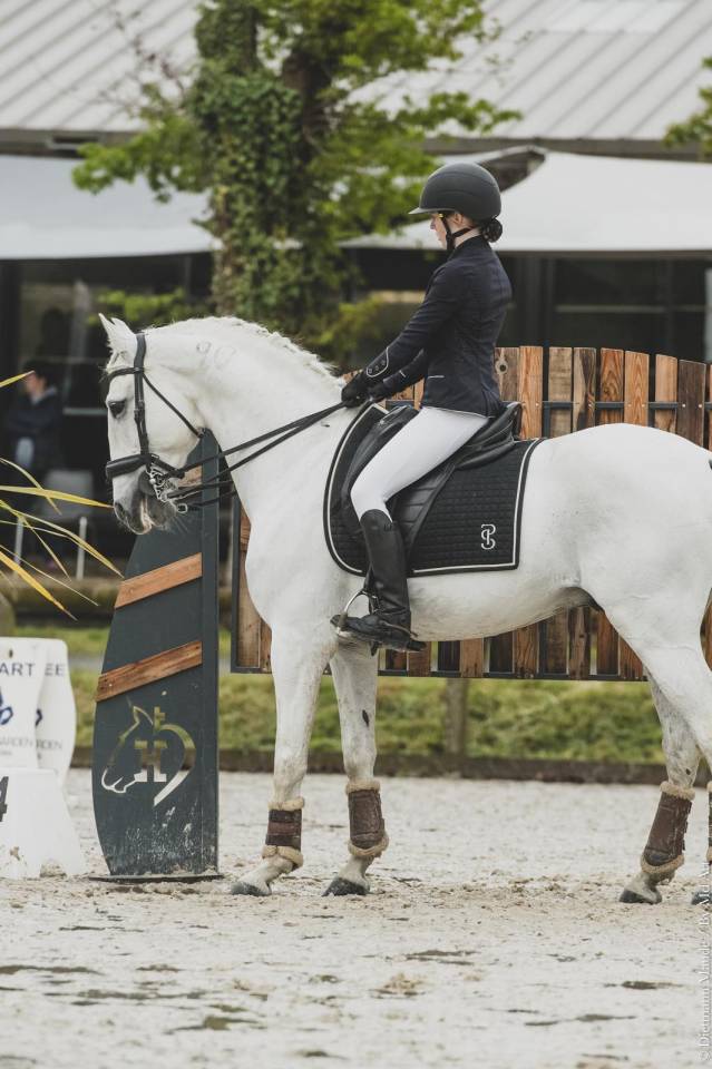 Stallone Lusitano In vendita 2014 Bianco ,  ADIDO INTERAGRO