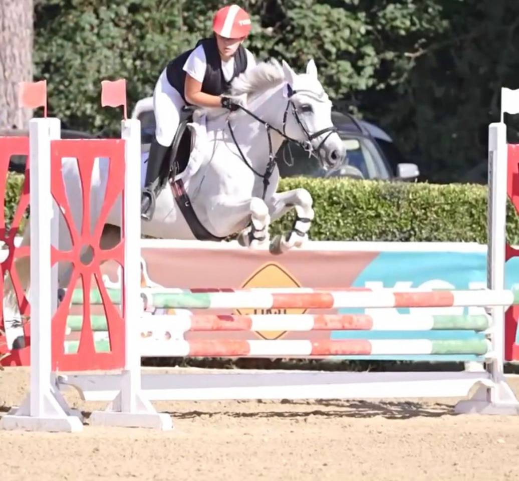 Pony Connemara Salto Ostacoli