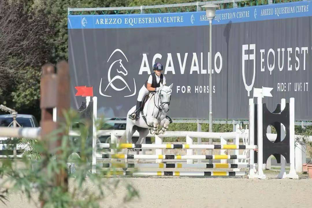 Pony Connemara Salto Ostacoli