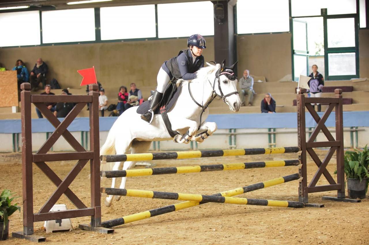 Pony Connemara Salto Ostacoli