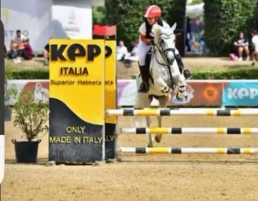 Pony Connemara Salto Ostacoli