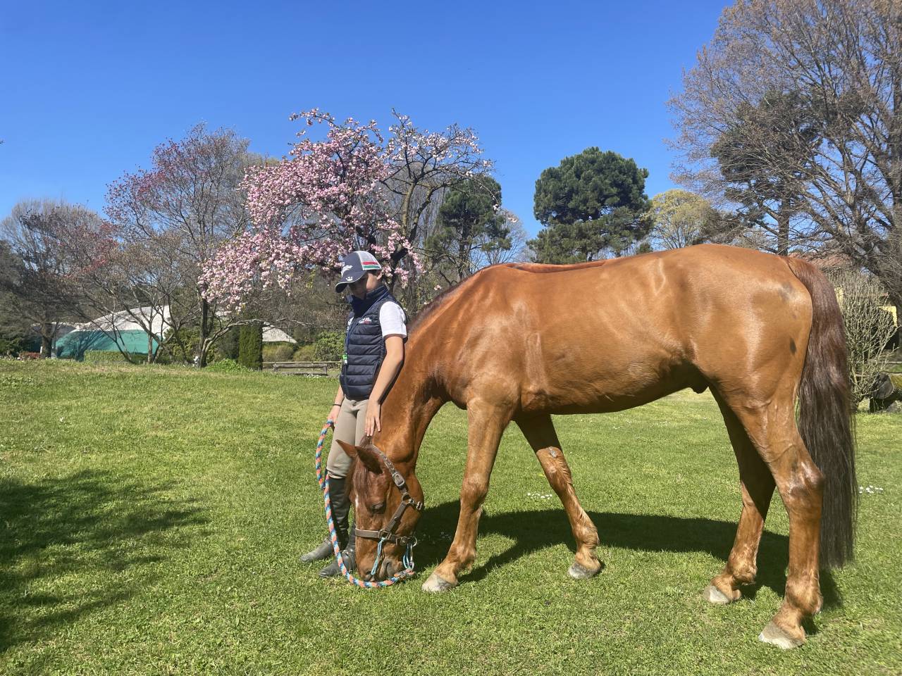 Bellissimo Connemara ☘️  2012