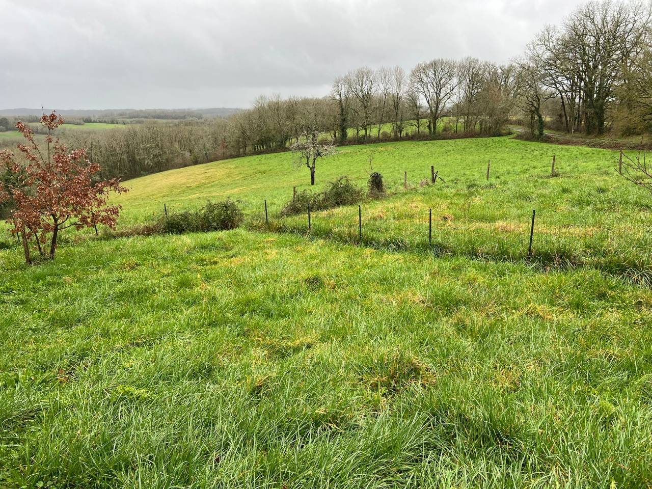 Bella dimora equestre In vendita Dordogne