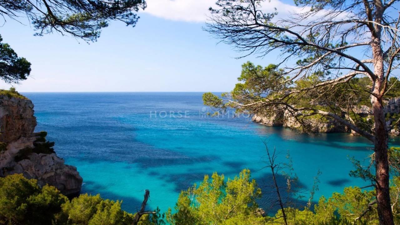 Propriet&agrave; equestre In vendita Bouches-du-Rh&ocirc;ne