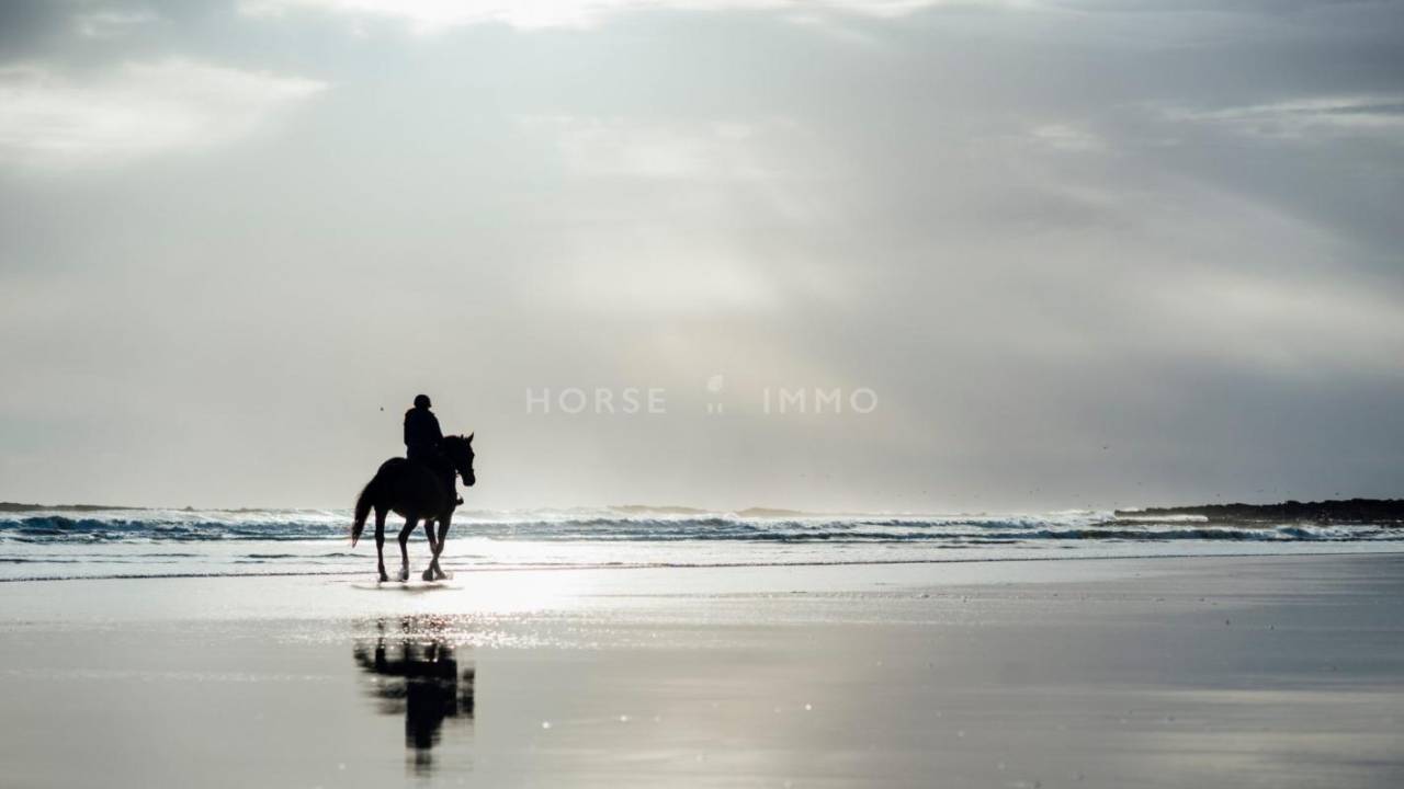 Propriet&agrave; equestre In vendita Bouches-du-Rh&ocirc;ne