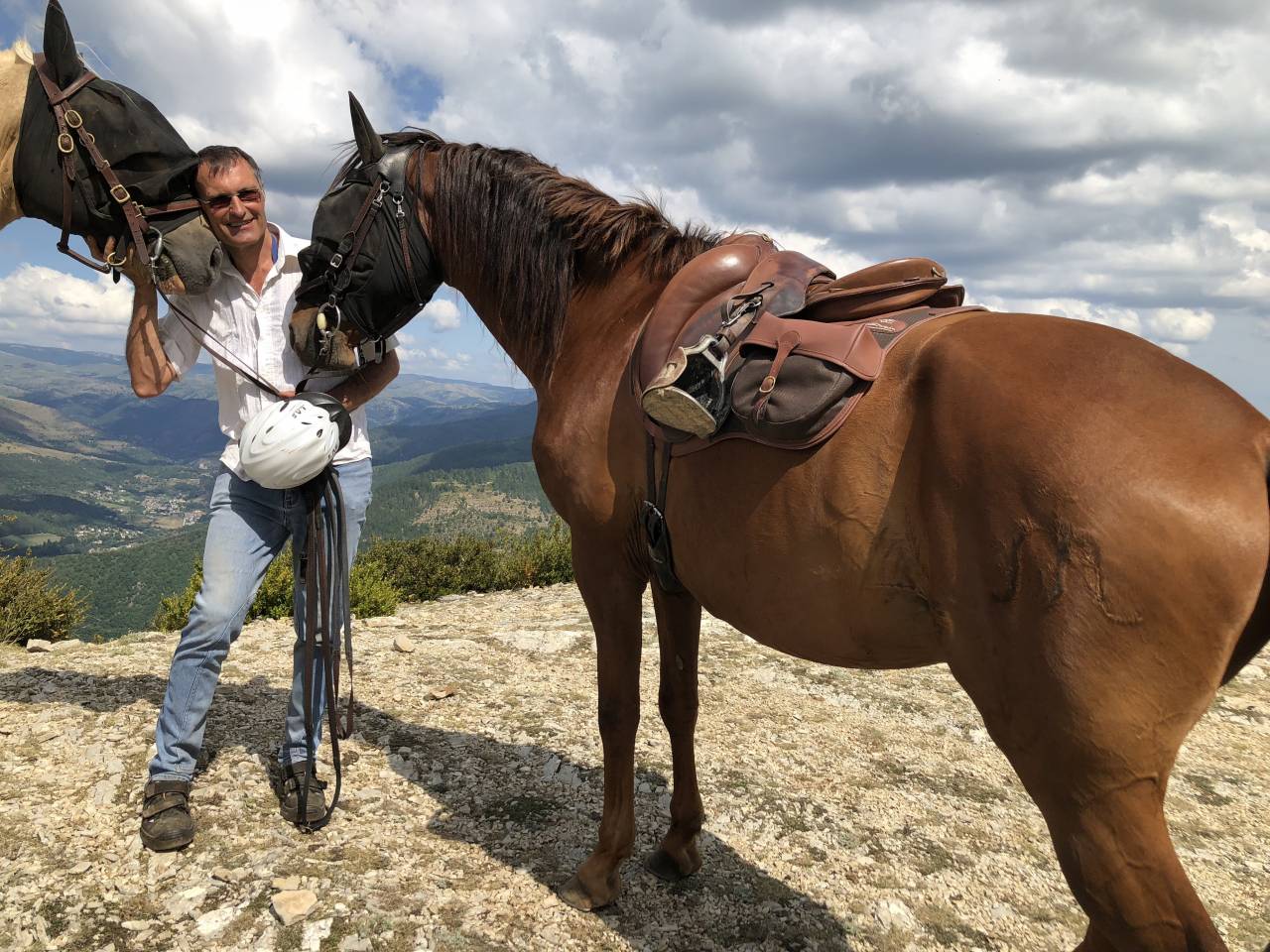 Castrone Lusitano Regalo 2007 Baio