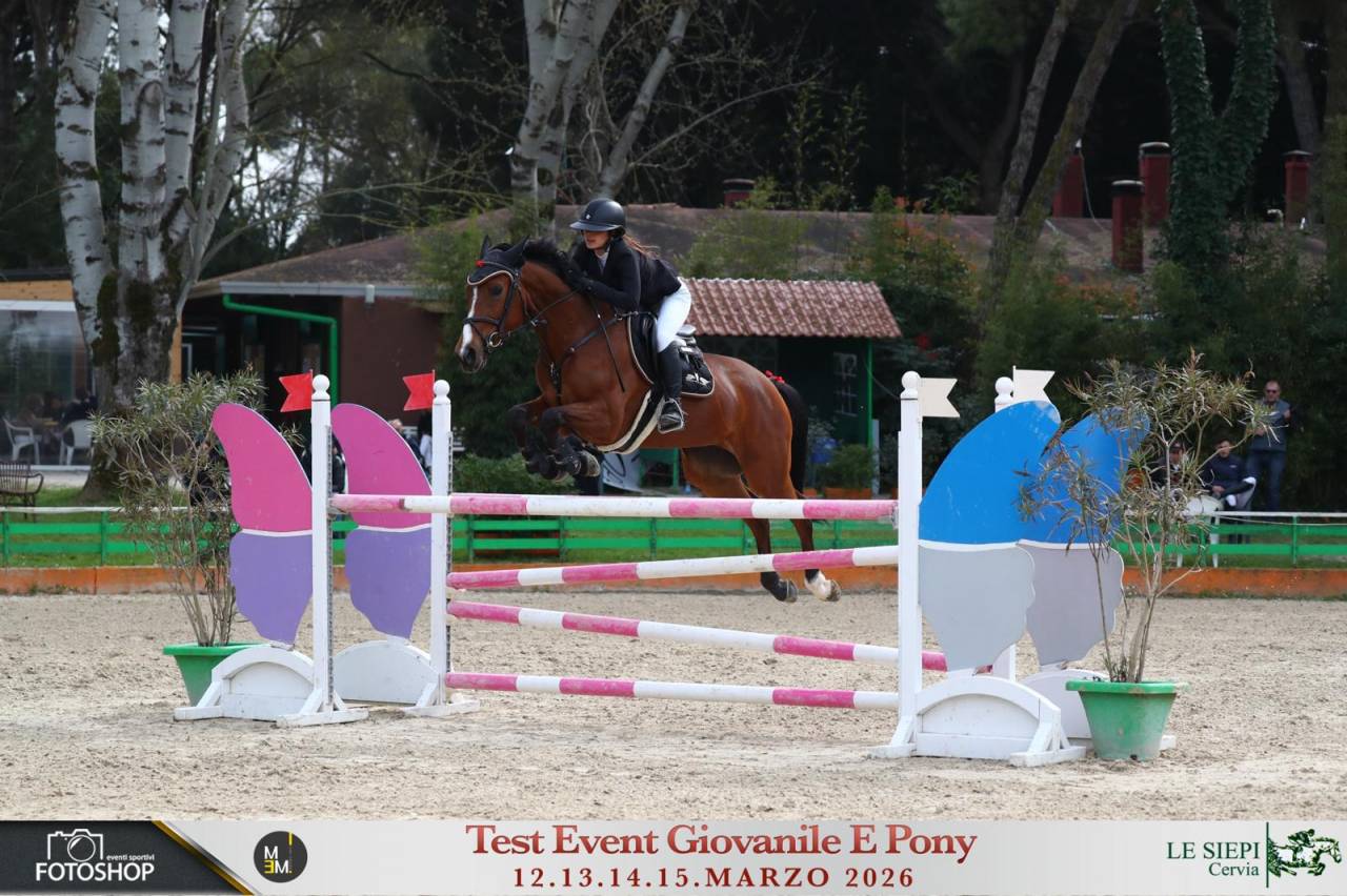 cavallo da sella italiano. CAVALLA, 8 ANNI