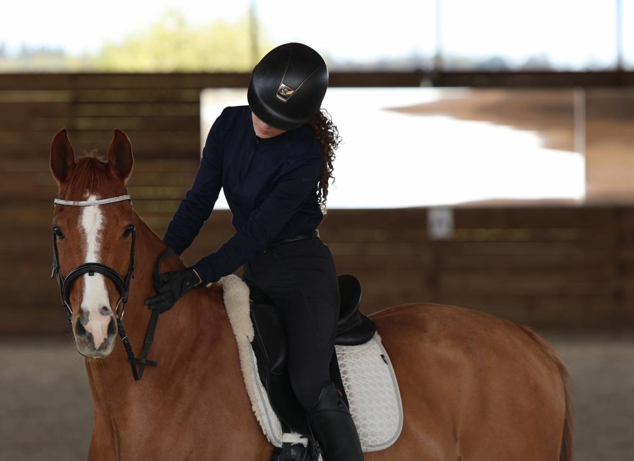 Castrone Dutch Riding Pony In vendita 2017 Sauro ,  Cosmopolitain D