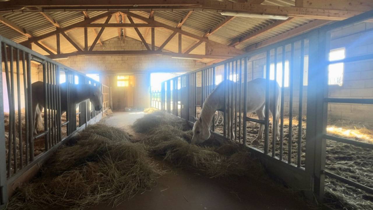 Propriet&agrave; equestre In vendita Aveyron