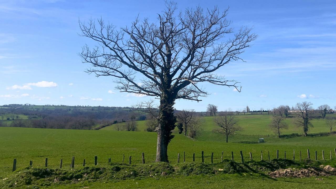 Propriet&agrave; equestre In vendita Aveyron