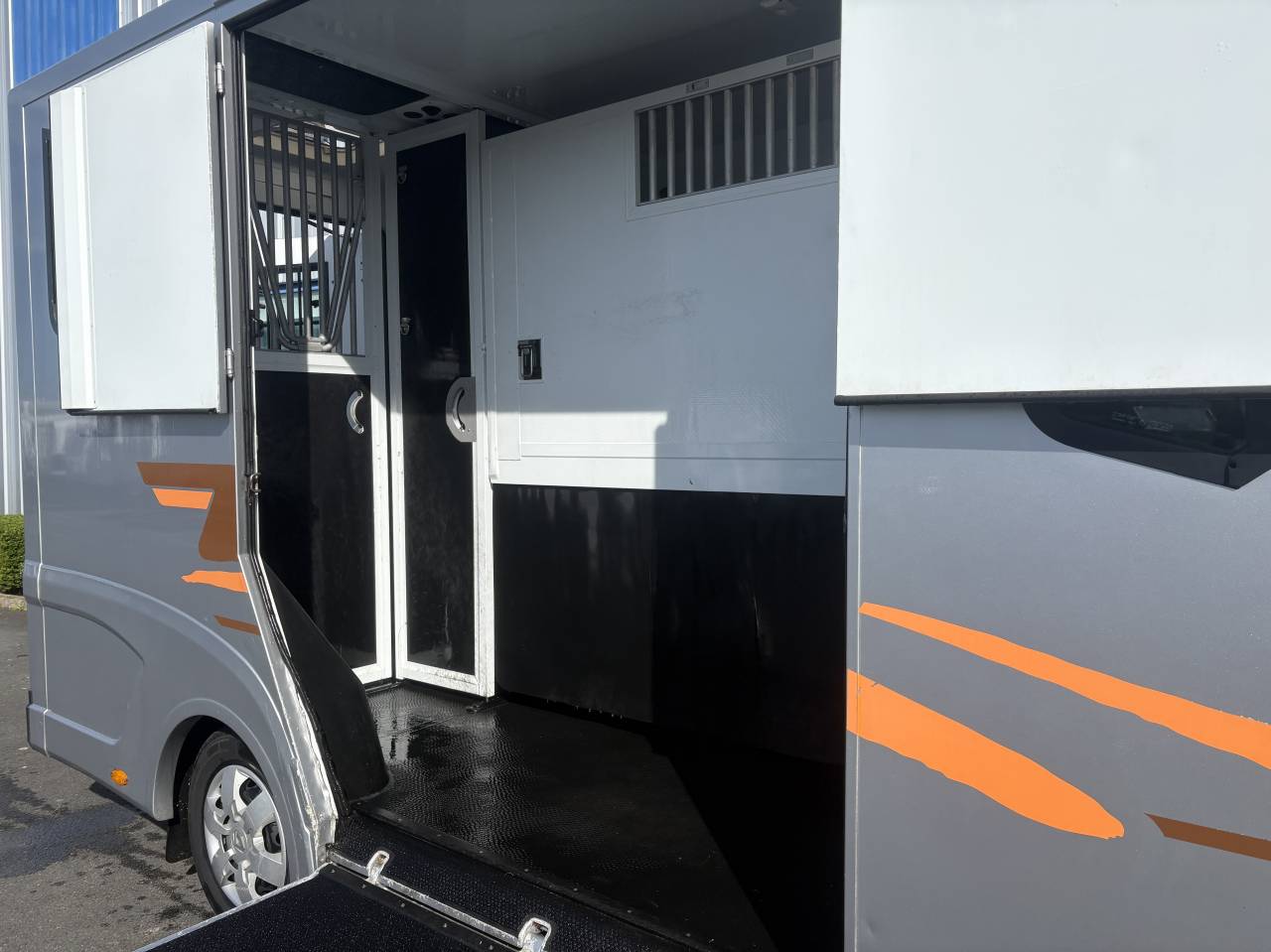 Van per Cavalli Theault STALLES  2019 Occasione