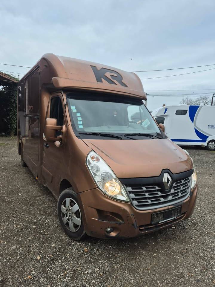 Van per Cavalli Krismar stalles 2017 Occasione