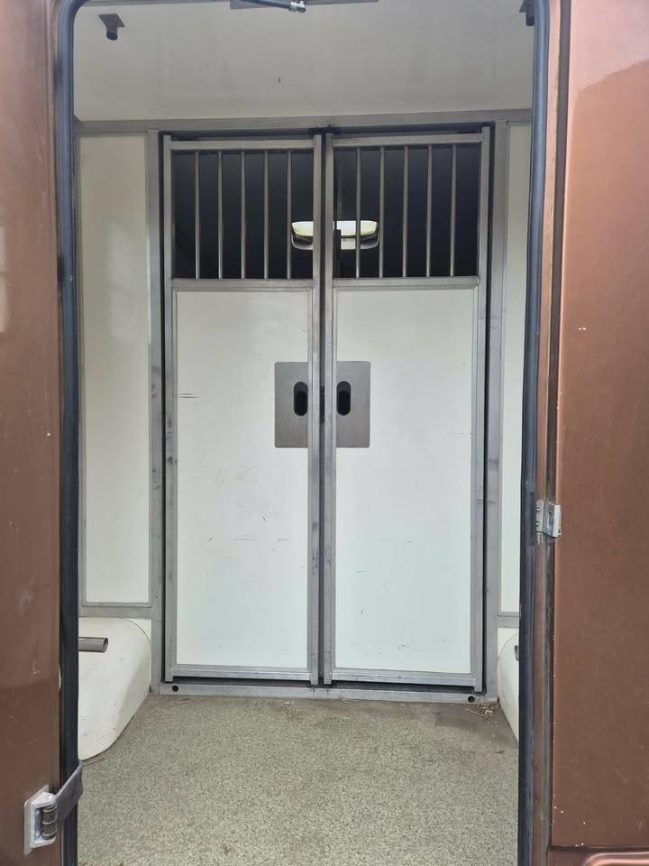 Van per Cavalli Krismar stalles 2017 Occasione